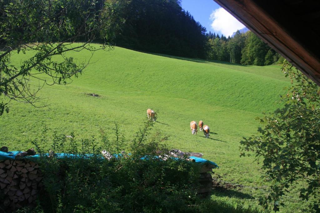 Alpenhotel Beslhof Ramsau bei Berchtesgaden Bilik gambar